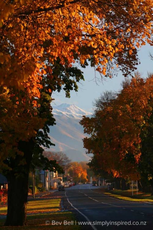Fairlie in Autumn